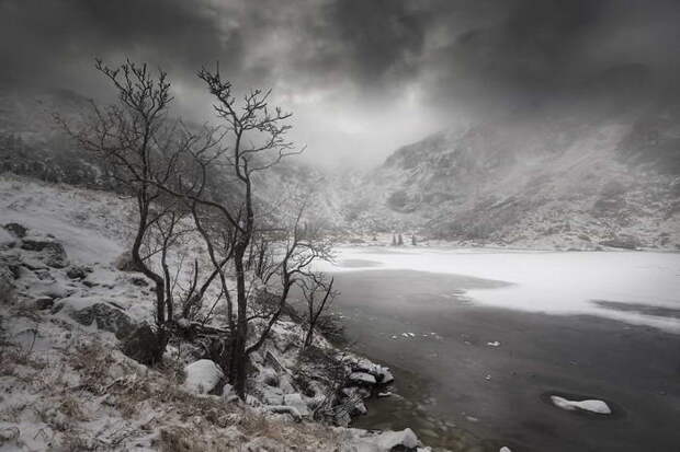 Красота зимы в Польше: фото Karol Nienartowicz