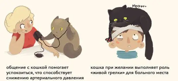 Разговор с котом картинки