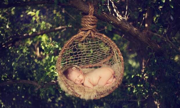 Спящие младенцы (38 фото) Спящие младенцы (38 фото)