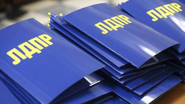 Липецкая представительница ЛДПР попала в скандал из-за эротических снимков