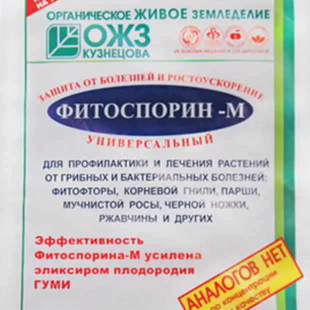 Фитоспорин от корневой гнили огурцов. Фитоспорин от мучнистой росы. Как обработать больную розу фитоспорином?.