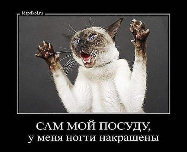 3 сам мой посуду (589x480, 42Kb)