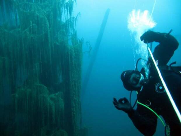 Подводный лес озера Каинды