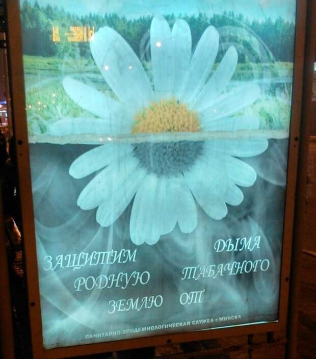 www.vsyako.net