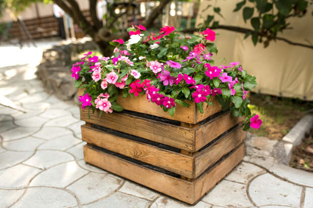 Designed by Freepik. Источник: www.freepik.com