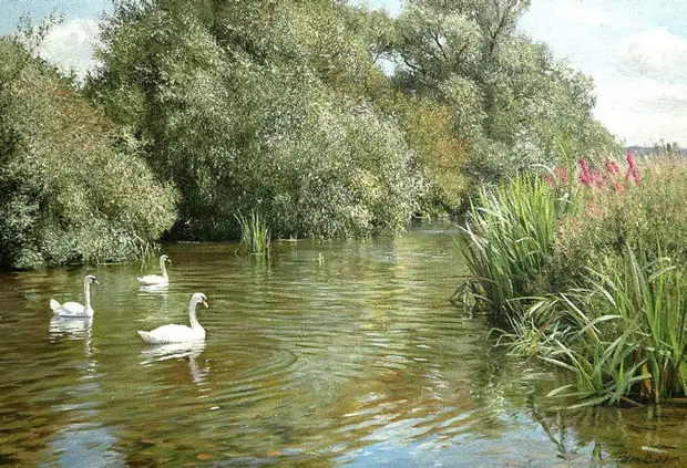 Peter Barker ( )