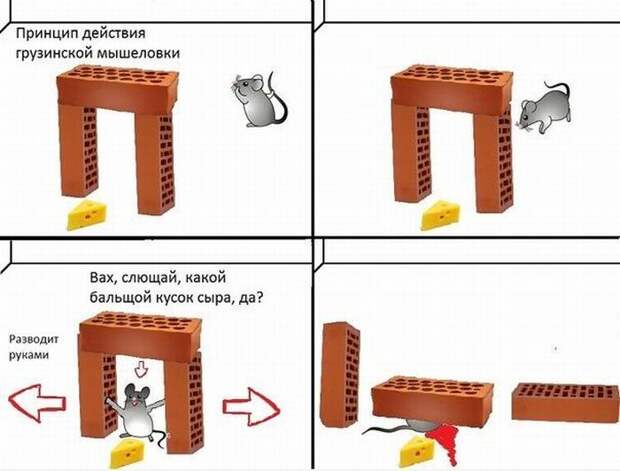 Прикольные картинки (79 фото)