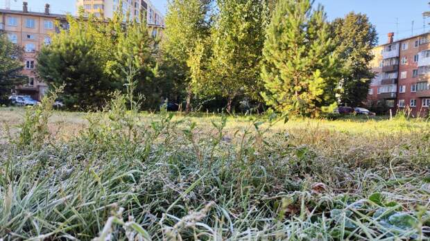 Заморозки до -3 градусов придут в Кузбасс в первую летнюю ночь