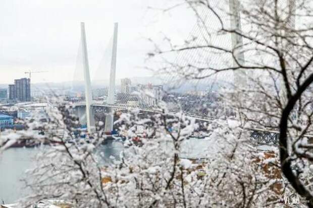 Владивосток зимой (54 фото) .