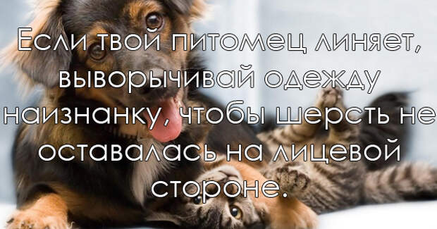 советы для жизни