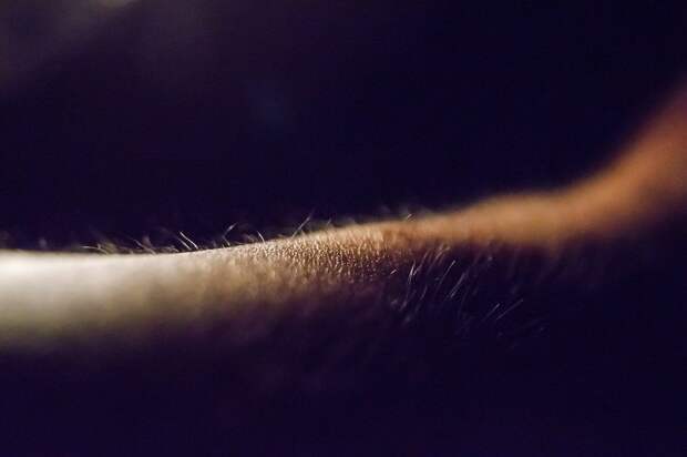 5 признаков, что кто-то из иного мира пытается вам что-то сказать