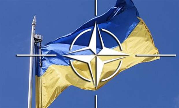 НАТО проведет экстренную встречу по ситуации в Украине НАТО проведет экстренную встречу по ситуации в Украине