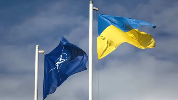 Членство Украины в НАТО не стоит в повестке саммита Альянса