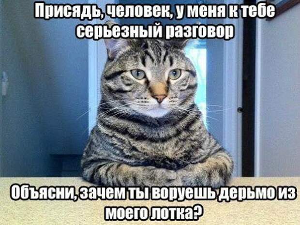 Всё в кучу 6