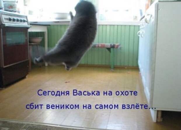 Котоматрицы: Мысли вслух