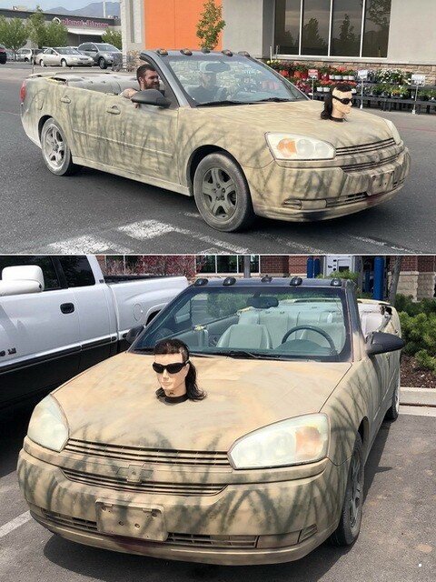 Автовсячина