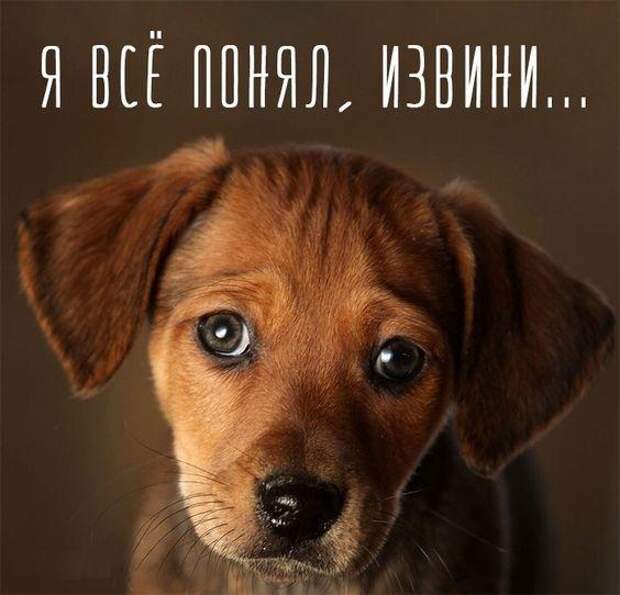 Хорошие свежие мемы (среда)
