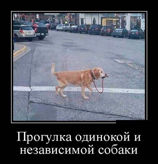 Демотиваторы (30 фото)