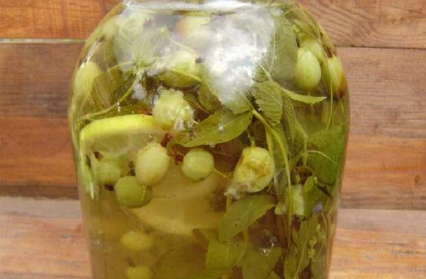 компот из крыжовника быстро