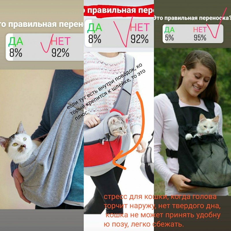 А у вас правильная переноска для кошки?