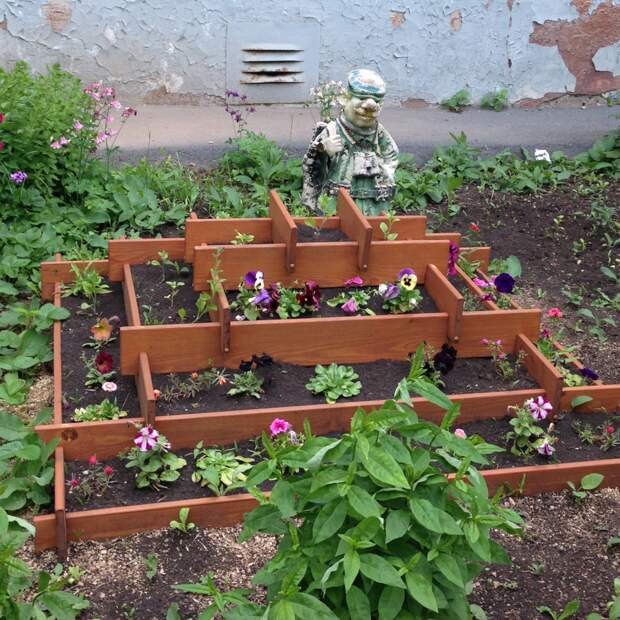 Огород в городе. Как выращивают овощи возле многоэтажек