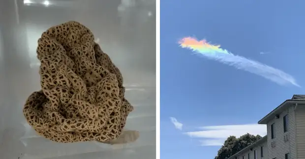 35 случаев, когда люди наткнулись на что-то невероятное и удивительное