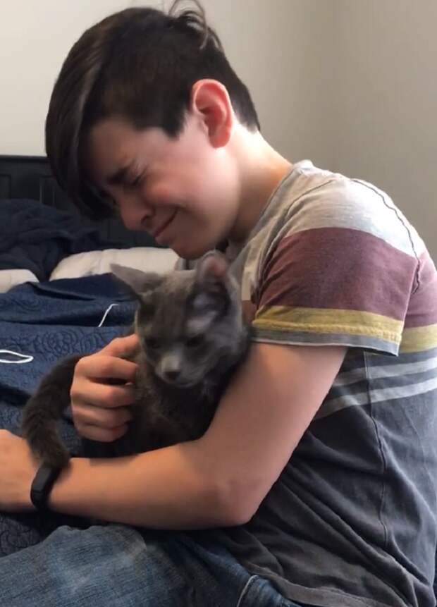15. 13-летнему мальчику подарили кошку, о которой он мечтал много лет коты, кошки, мило, питомцы, подборка, трогательно, фото