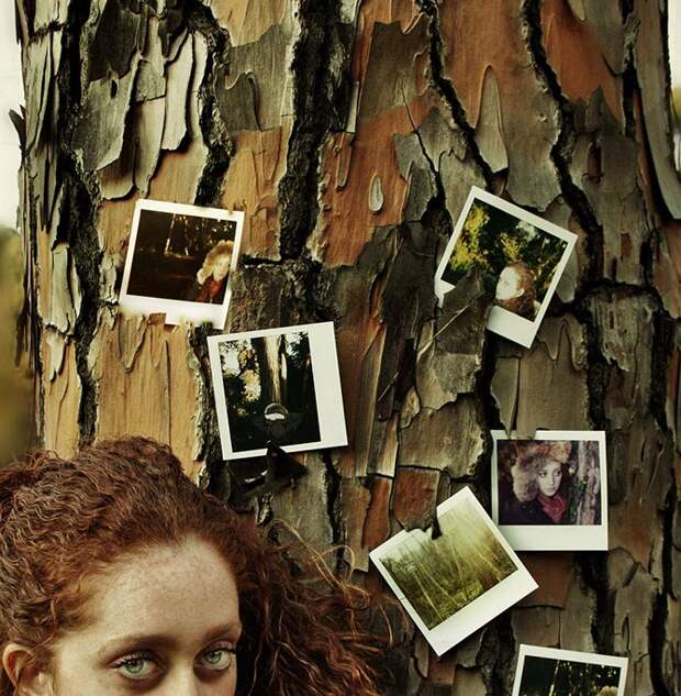 Интересные факты о фотоаппаратах Polaroid Интересные факты о фотоаппаратах Polaroid