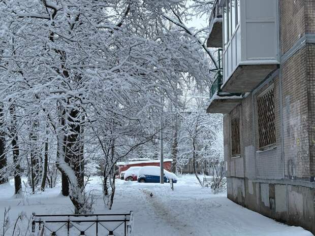В Петербурге сугробы выросли до 26 сантиметров