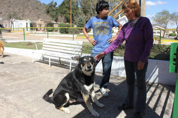 Безграничная преданность (11 фото) Безграничная преданность (11 фото)
