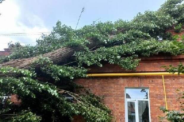 Котовские коммунальщики устраняют последствия падения дерева на крышу жилого дома