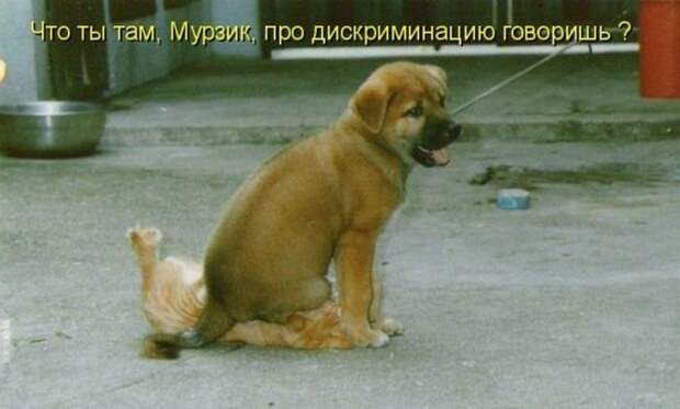 Мысли вслух :)