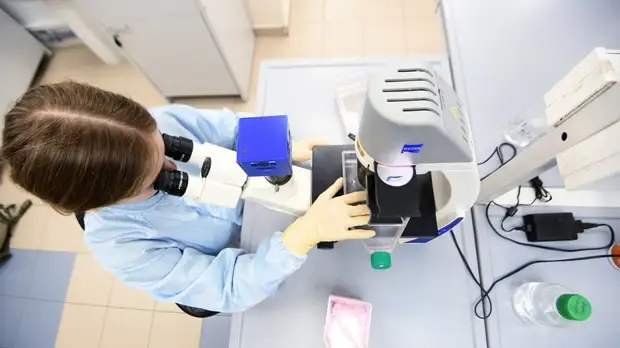 В Мурманской области прокомментировали ситуацию с коллективным иммунитетом от COVID-19