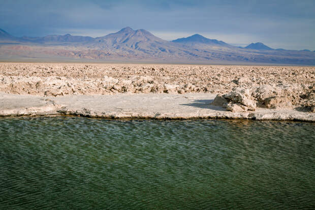 Салар-де-Атакама (Salar de Atacama), Чили