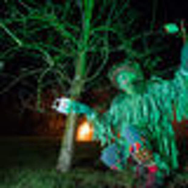 Some revelers dress as the