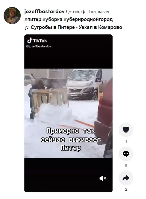 ТикТок не дремлет в отличие от Беглова – градоначальник завалился в берлогу в Комарово 2