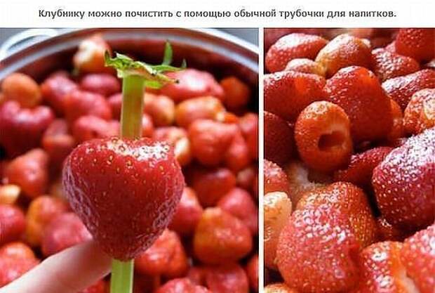 Полезные советы в картинках
