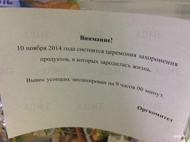 Записки с хорошим чувством юмора
