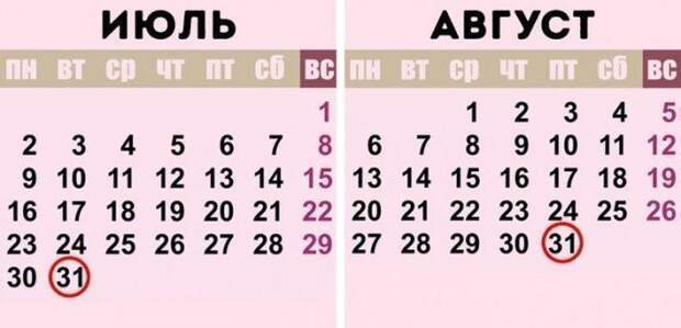 13 ответов на самые интересные "Почему?"