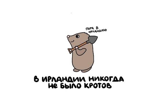 Короткие интересные факты на все случаи жизни
