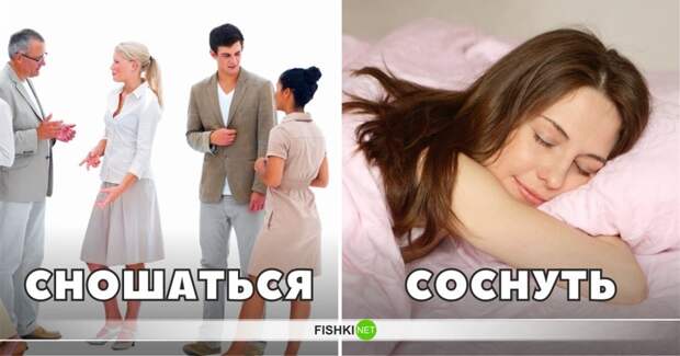 В русском языке слово "сношаться" всегда означало просто общение, разговор, а "соснуть" - поспать интересное, лексика, пошлости, эвфемизмы, эффект голубого щенка