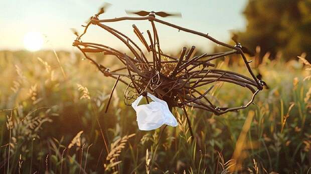 КОЛЛАЖ ЦАРЬГРАДА