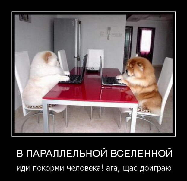 Самые позитивные демотиваторы дня (2014)
