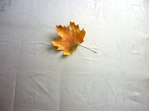 P1150323 (700x525, 192Kb)
