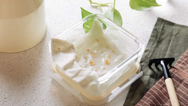 Семена прорастут быстро и взойдут дружно: простой лайфхак от агрономов