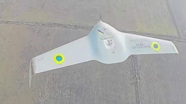 Подразделения ВДВ с помощью дронов-перехватчиков ежедневно уничтожают БПЛА ВСУ в Запорожской области