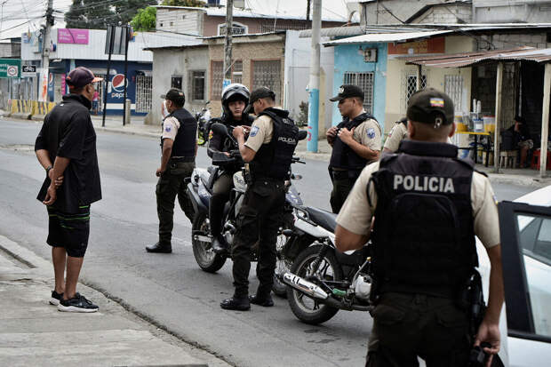Полиция Эквадора нашла 3 тонны кокаина в контейнере с бананами для РФ