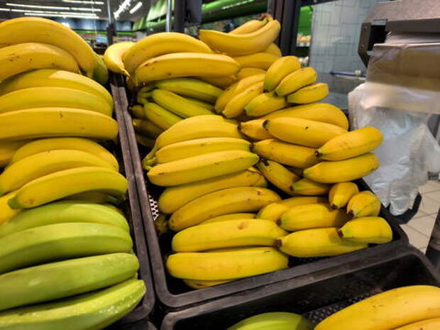 В Сочи собрали первый урожай бананов