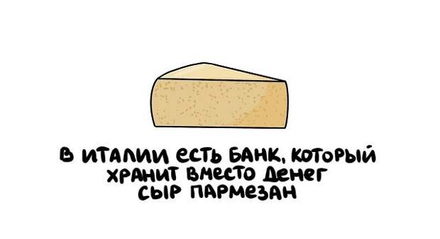Короткие интересные факты на все случаи жизни