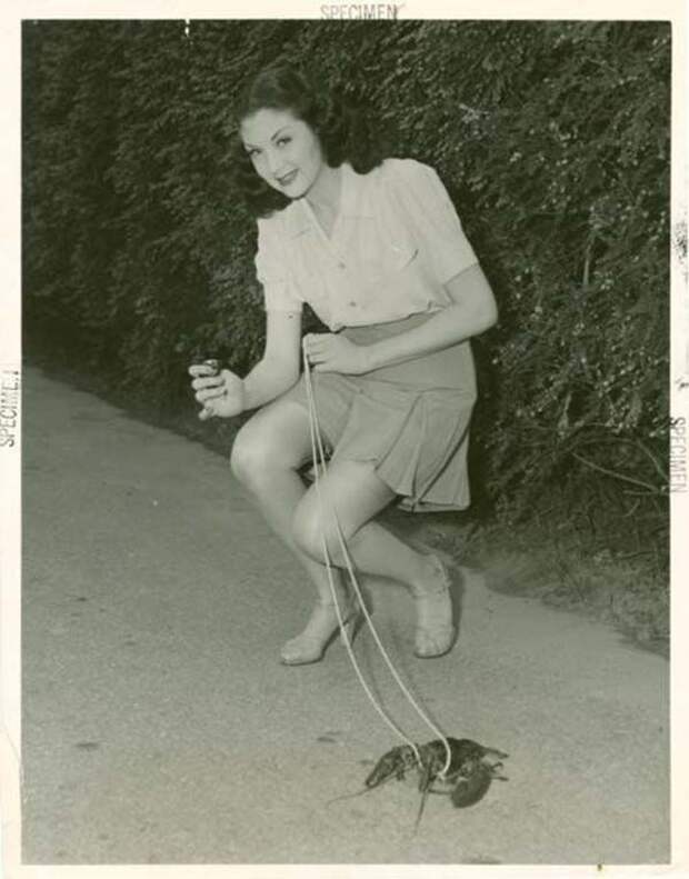 Исторические фотографии,которых вы не увидите в учебниках истории  учебник, история, фото